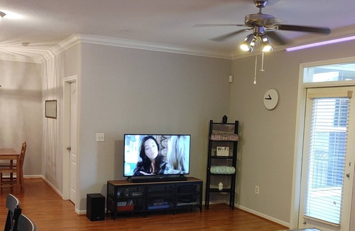 Astrodome Condo | Located in Houston's Medical Center just blocks from NRG
