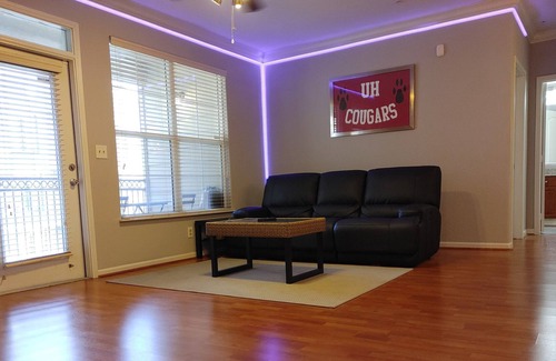 Astrodome Condo | Located in Houston's Medical Center just blocks from NRG