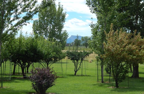 Cortez Apartment | Located in the Fours Corners region close to world famous mountain biking areas