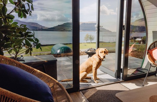 Calgary Cabin | Loch Beg - sleeps 4 guests in 1 bedroom