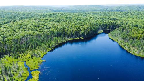 Madawaska Cabin | Lodge at Madawaska Ideal for Groups and hiking