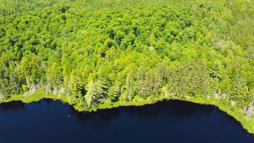 Madawaska Cabin | Lodge at Madawaska Ideal for Groups and hiking
