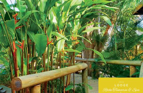 La Possession Resort | Lodge Roche Tamarin