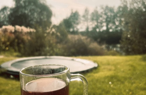 Zevenhuizen Cabin | Lodge The Kingfisher at Bolmeer lodges