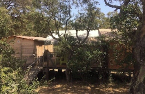 Pinarellu Cabin | Lodges l'Asphodèle