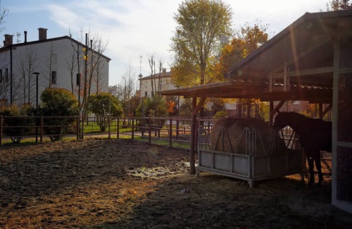 Rovigo House | Lodging immersed in the tranquility of the Polesana countryside