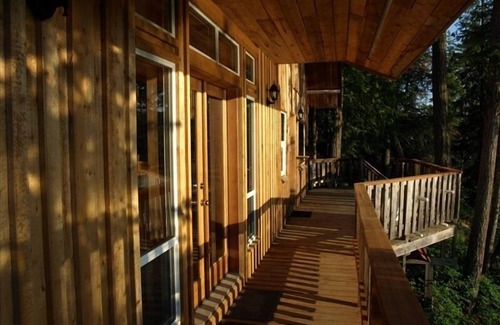 Fauquier Cabin | Loft Cabin on 100acr Property on Arrow Lake Beach and Privacy