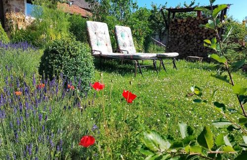 Nettersheim Apartment | Loft Eifel Idylle