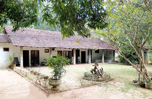 Habarana Cabin | Loft for 4 - Eagles Wing's Guest House