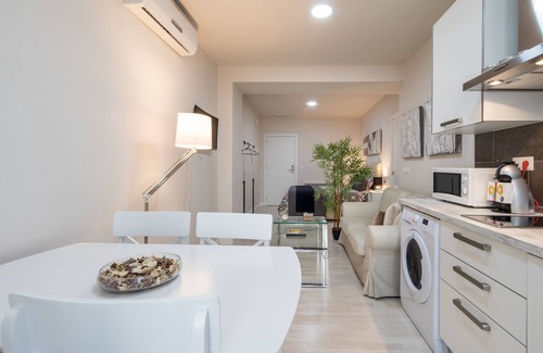 Granada City Center Apartment | LOFT IN THE CENTER OF GRANADA (RECOGIDAS)