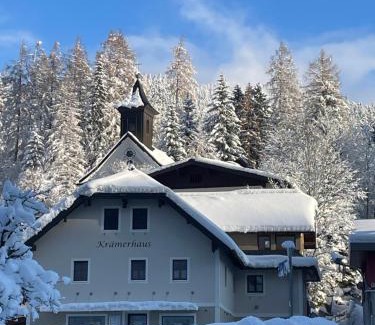Annaberg im Lammertal Apartment | Loft Krämerhaus Annaberg, Dachstein West