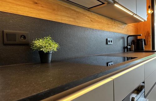 Strzeleczki Apartment | Loft N 39