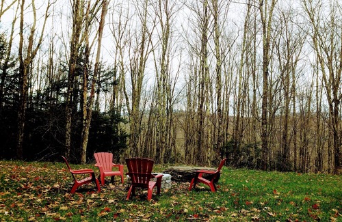 Denver Cabin | Log cabin Close to skiing, hiking, shopping and dining!