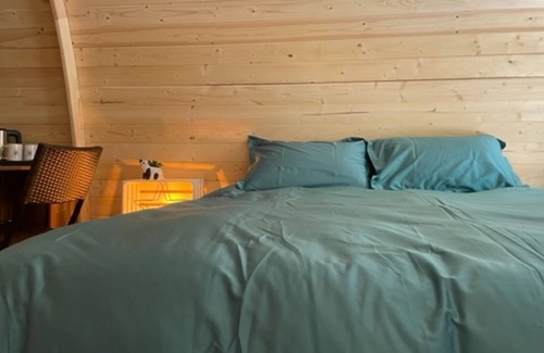 Abrest Cabin | Log Cabin-Deluxe-Ensuite with Shower-Woodland view