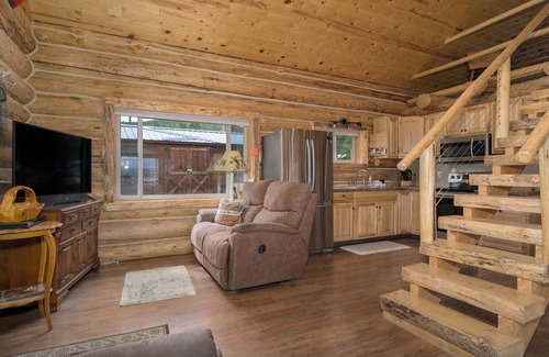 Georgetown Cabin | Log Cabin, Lake Views & Dog Friendly at GTL