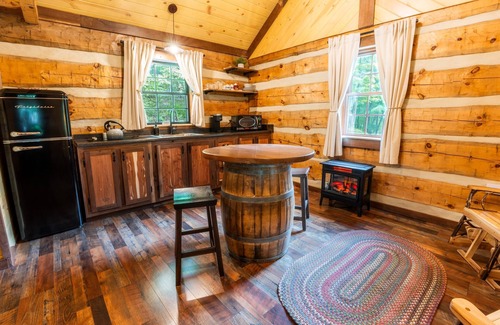 Allegheny Mountains Cabin | Log Cabin w HotTub near Seneca Rocks & Spruce Knob