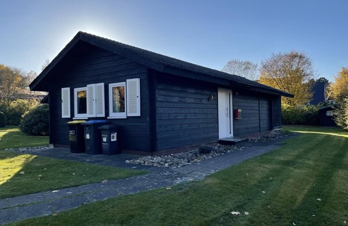 Damp House | Log cabin Windrose