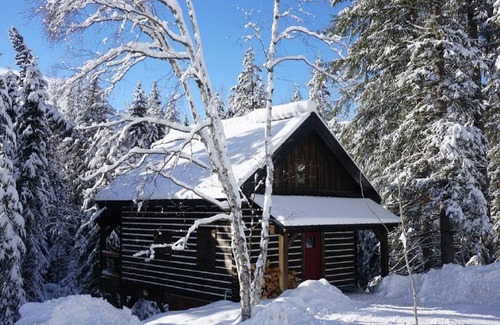 Golden Cabin | Log Dovetail Bison Cabin - Mountain Life Getaway!