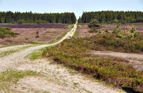 Ikast-Brande Municipality House | Log-House Wildernest