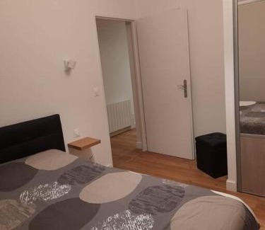 Saint-Nectaire Apartment | Logement entier - Appartement