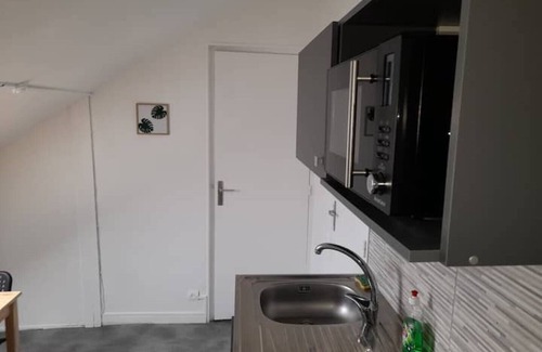 Reims Apartment | LOGEMENT VERT, Whole house: apartment