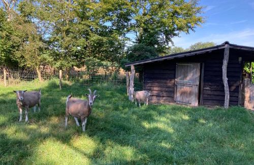 Uddel House | Logeren bij De Soerensesteeg