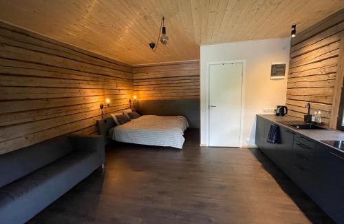 Viljandi County Apartment | Loghouse by the lake