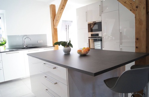 Erstein Apartment | LOGIS DU RIED large 3 room apartment 130 m² "COMFORT" 30 minutes from Europa-Park