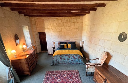 Beaumont-en-Veron Other | Loire Valley Château with Pool & Vineyards near Saumur & Chinon