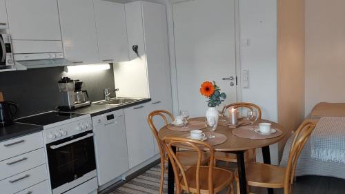 Sotkamo Apartment | Lomayksiö C 3 Sotkamon keskustassa