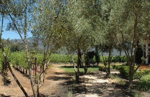 Calistoga House | LONG TERM RENTAL ONLY: Vineyard, Pool & Remodeled Estate. Convenient Location.