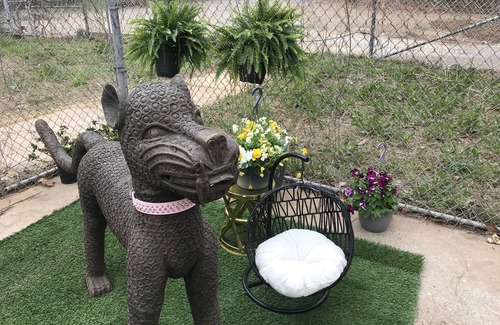 Wise House | Long Term Stay RV that is Dog Friendly in ex-prison!