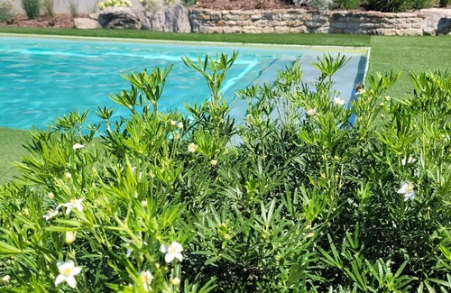 Marnay House | Longère with swimming pool, ideal for 5 couples with 8 children/teenagers.
