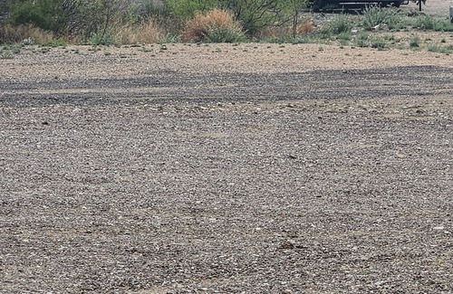Study Butte-Terlingua RV Rental | Longhorn Ranch Motel - Full Hook-Up RV Park with Power and Sewer