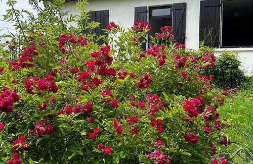 Les Houches House | L’Opporak, a country house near Auxerre