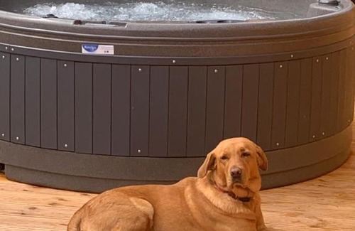Newton Stewart Ski Chalet | Lord Galloway 36 with Hot Tub