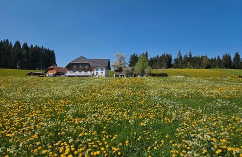 Titisee-Neustadt Apartment | Lorenzenhäusle Titisee-Neustadt