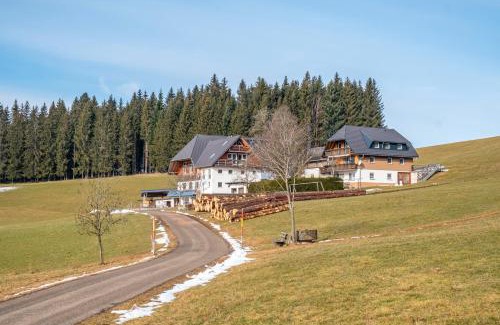 Titisee-Neustadt Apartment | Lorenzenhäusle Titisee-Neustadt