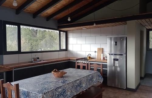Villa Pehuenia House | Los soles de montaña