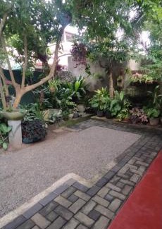 Weligama House | Lotus Paradise