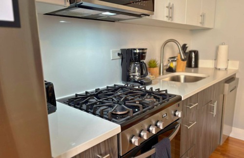 Roscoe Village Apartment | Lovely 1BR Apt in Lakeview