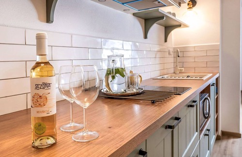 Horni Plana Apartment | Lovely apartment for 4 guests with WIFI, terrace and pets allowed