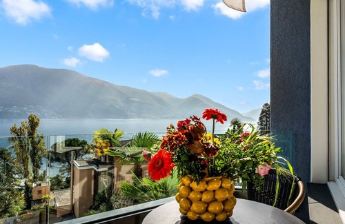 Ascona Apartment | Lovely apartment for 2 guests with WIFI, TV, balcony and pets allowed