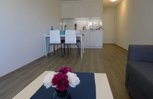 Lucerne Apartment | Lovely apartment for 4 people with WIFI, TV and balcony