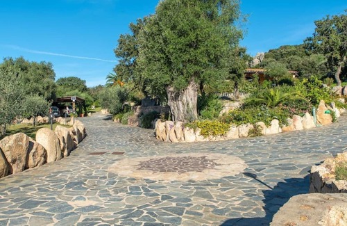 Telti Apartment | Lovely apartment for 4 people with pool, A/C, WIFI, TV, patio, pets allowed and parking