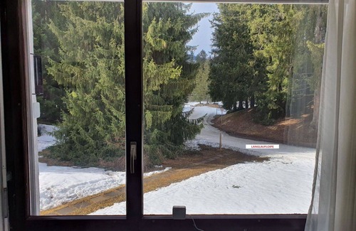 Lenzerheide Apartment | Lovely apartment for 2 people with WIFI, TV and pets allowed