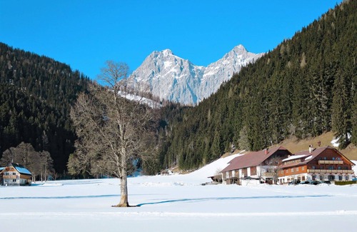 Ramsau am Dachstein Villa | Lovely apartment in villa for 2 guests with WIFI, TV, balcony, pets allowed and parking