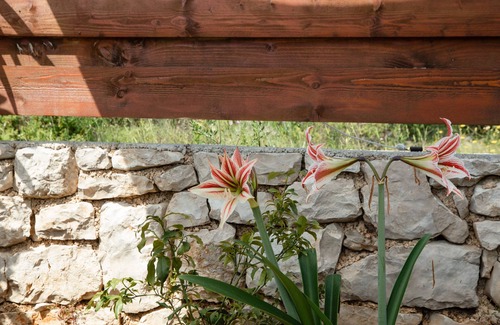 Rogac Apartment | Lovely couple apartment a few steps from the sea