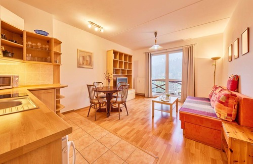 Janske Lazne Apartment | Lovely apartment for 4 guests with WIFI, TV and balcony