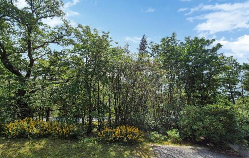 Masfjorden House | Lovely Home In Masfjordnes With Wifi